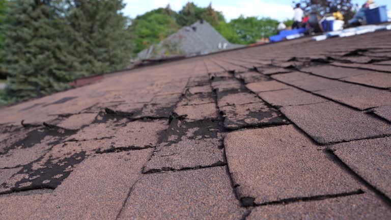 Best Storm Damage Roof Repair  in Dandridge, TN